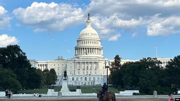 1769122451916830.jpeg IMG_9788.jpeg