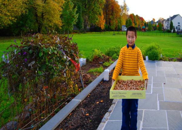 2009-10-25_Yard Work ũ�����0001.JPG