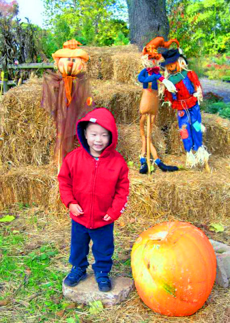 2005-10-23_Halloween Pumpkin ��ʥ���Ϲ�0001.JPG