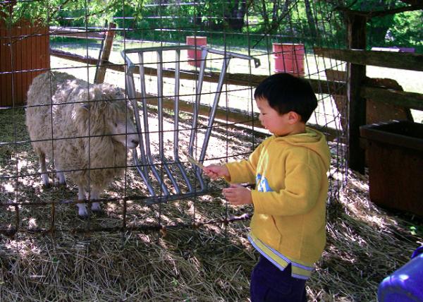2006-04-30_Sandy Hill Farm0001.JPG