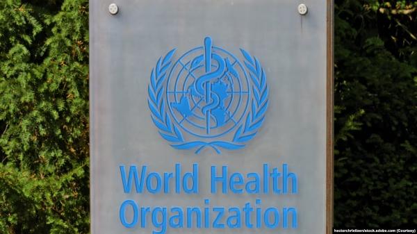 1769245730752319.jpeg IMG_0460.jpeg