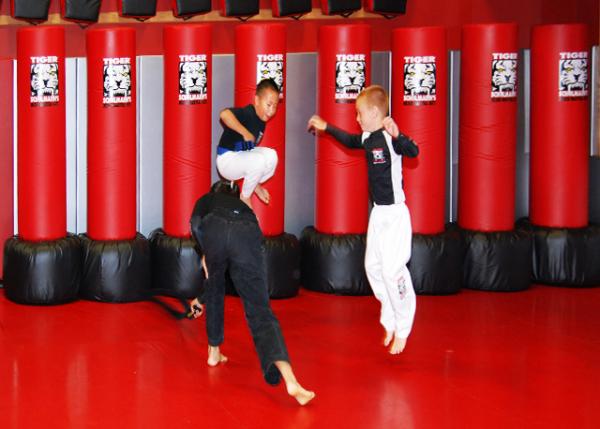 2010-07-30_Karate @ Tiger Schulmann Mixed Martial Arts �ϻ��������������ݡ����ֵ�0001.JPG