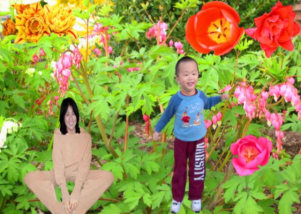 2005-04-09_Front Yard0001.JPG