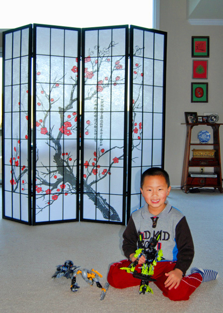 2009-03-07_Lego Bionicles �ָ�����սʿ0001.JPG