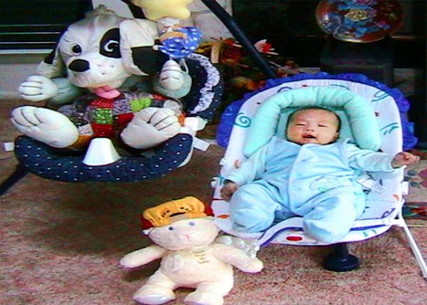 2003-05-06_Stuff Animals0001.JPG