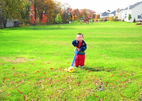 2004-11-02_Waddles the Waddle Duck Push Toy on Presidential Election Day ����ѧ��Ѽ��0001.JPG