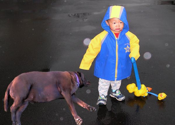 2004-11-24_Stroll w Walk 'n Waddle Duck & Labrador Retriever0001.jpg