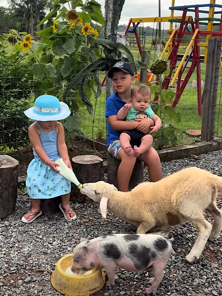 1769540791871017.png IMG_1286.png