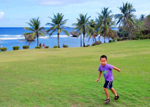 2008-01-30_Barbados-Barclay's Park0001.JPG