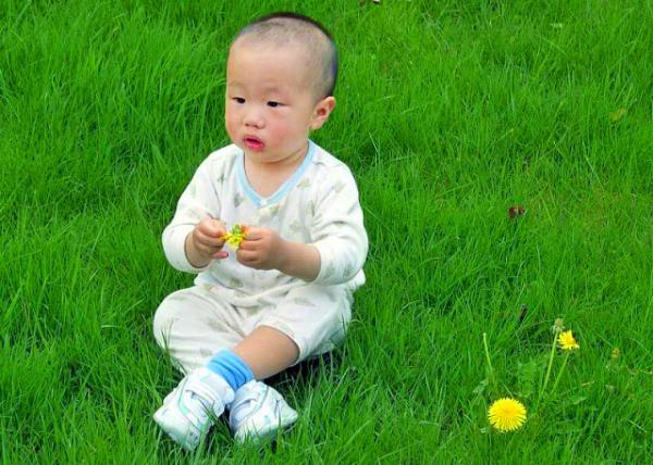 2004-05-01_Dandelion & Me �ѹ�Ӣ����0001.JPG