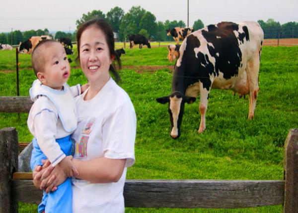 2004-05-30_Merrymead Farm w Black & White Holsteins ������Ұ���ڰ׻���˹̹��ţ-20001.JPG