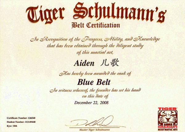 2008-12-22_Blue Belt.JPG