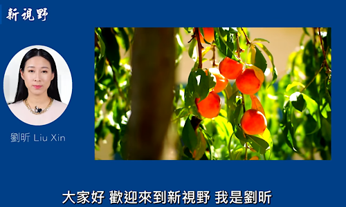 1769772975538897.png IMG_2069.png