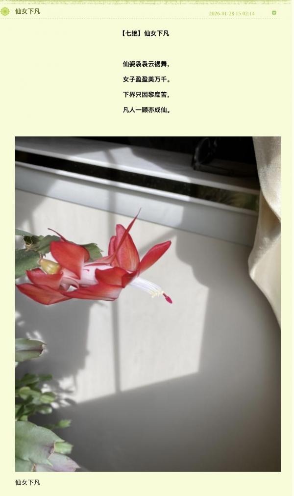 1769781259797611.jpeg IMG_3124.jpeg