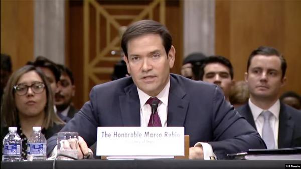 1769784808510159.jpeg IMG_2093.jpeg