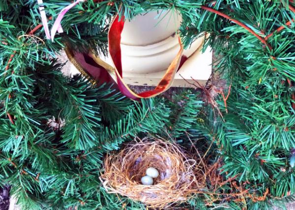 2019-04-07_2 Eggs in the Nest behind the Wreath0001.JPG