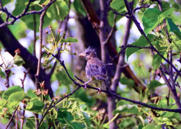 2019-05-08_Beauty Queen-20001.JPG