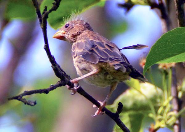 2019-05-08_Beauty Queen-40001.JPG