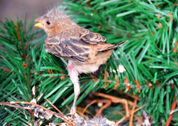 2019-05-08_Farewell Leap0001.JPG