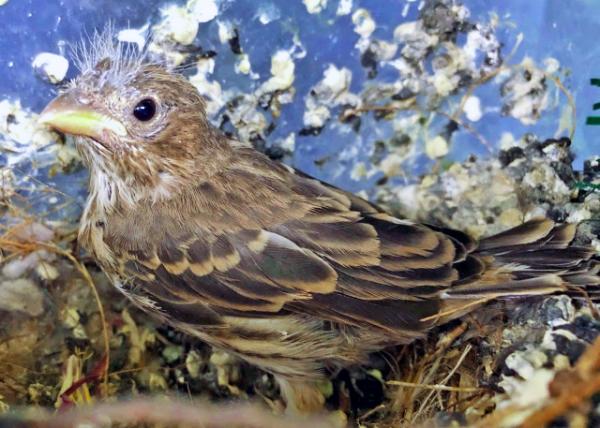 2019-05-10_Before Leaving-10001.JPG