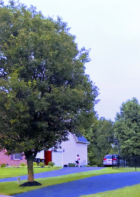 1769911906318028.jpg 2021-06-20_Basketball0001.JPG