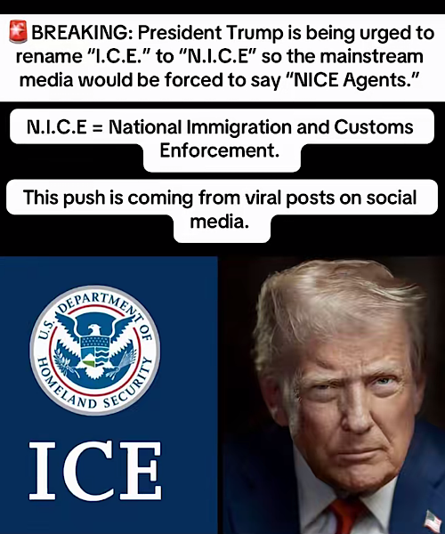 1769917842892918.png IMG_2504.png