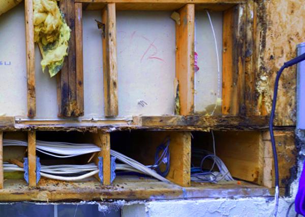 2022-04-19_Rotten PlywoodStudInsulation.JPG