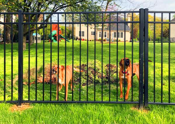 2022-05-03_29_Stop-by Pals.JPG