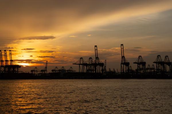 1770073278722326.jpeg IMG_5854.jpeg