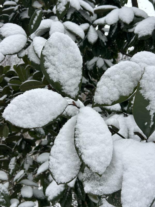 IMG_9574 (自定义).JPG