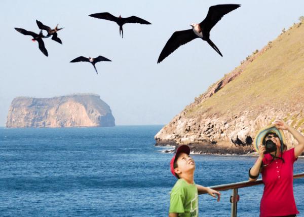 2013-03-31_Blue-footed Booby @ Daphne Major-20001.JPG