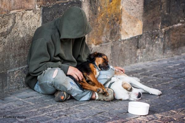 Homeless-man-w-2-Dogs-by-duchy-shutterstock_177426341wCreds.jpg