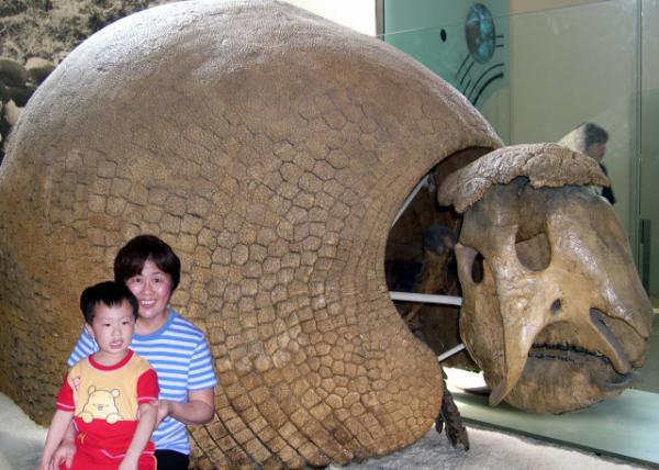2006-04-15_Skeleton of Glyptodon Showing Carapace @ American Natural History Museum0001.JPG
