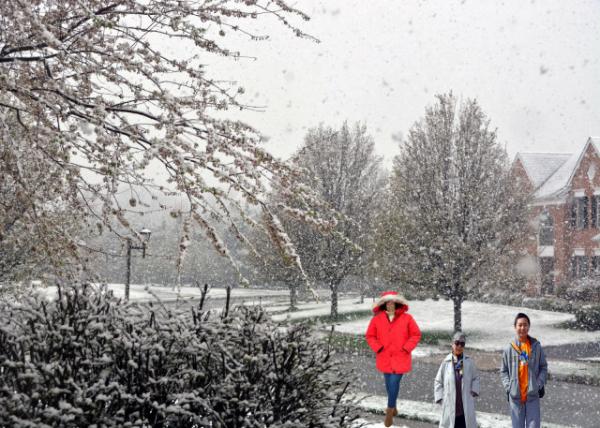 2016-04-09_Sleet Snow0001.JPG