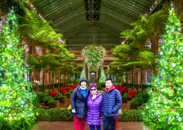 2019-01-01_Christmas Trees Conservatory @ Longwood Gardens0001.JPG