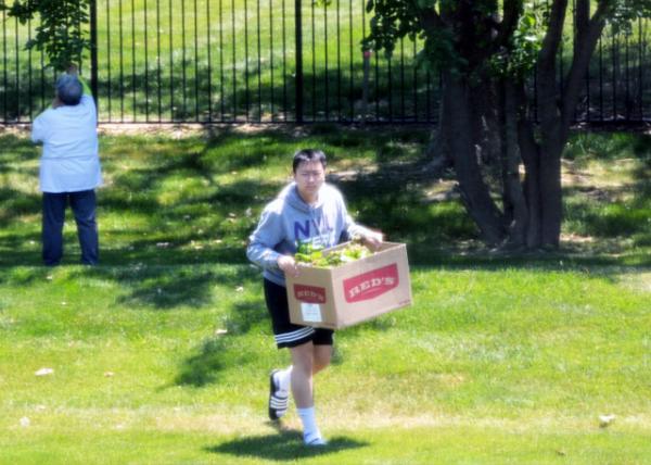 2023-06-01_Mulberry Branches0001.JPG