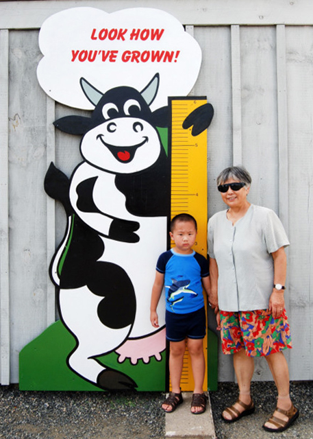 2007-08-26_Merrymead Farm0001.JPG