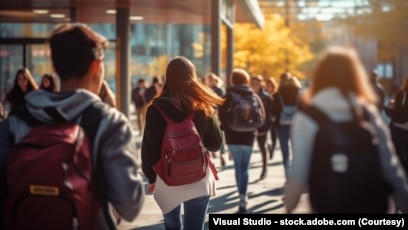 У԰��Ĵ�ѧ����(�˹���������)