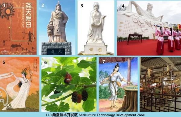 11.3 480 桑蚕技术开发区 Sericulture Technology Development Zone.jpg