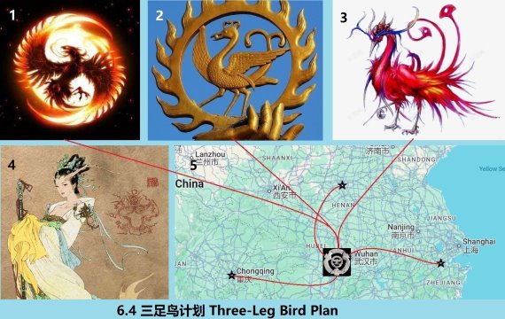 6.4 360 ������ƻ� Three-Leg Bird Plan.jpg