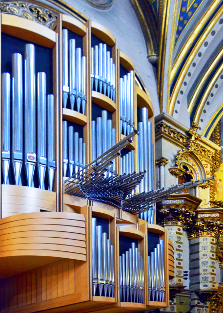 2024-06-03_Organ-30001.JPG