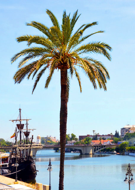 2024-06-05_Guadalquivir River, the Only Navigable River in Spain0001.JPG