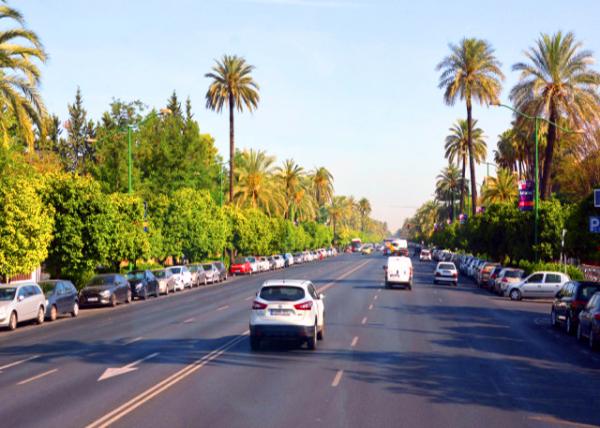 2024-06-05_Avenida de la Palmera_ an Avenue Lined w Pavilions from the 1929 Ibero-American Exposition_ and cross Plaza Am��rica & Parque Mar��a Luisa000.JPG