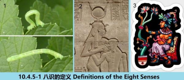10.4.5-1 360 ��ʶ�Ķ��� Definitions of the Eight Senses.jpg