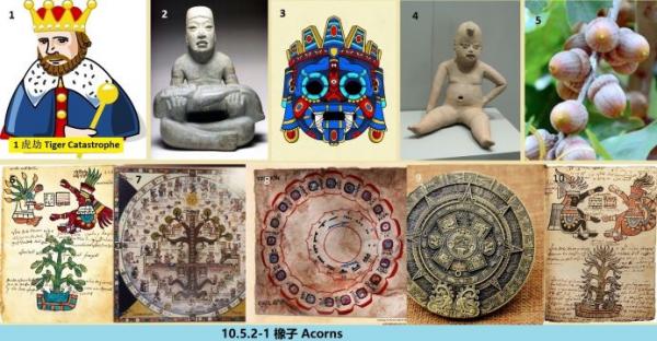 10.5.2-1 360 ���� Acorns.jpg