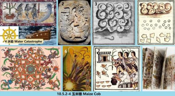 10.5.2-4 360 ������ Maize Cob.jpg