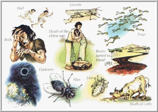 10.6.5 360 ���Ϲ� Escalatory Fruit 2.jpg