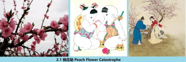 2.1 360 �һ��� Peach Flower Catastrophe.jpg