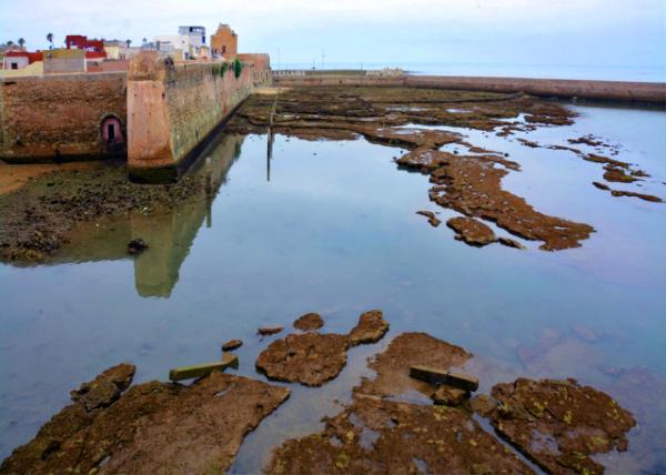 2024-06-06_25_Star-Shaped Ramparts0001.JPG