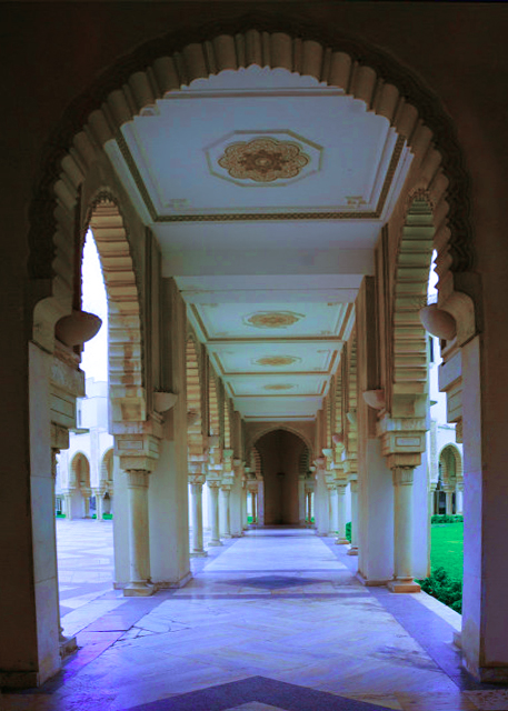 1770948973470760.jpg 2024-06-06_08_Colonnade-10001.JPG